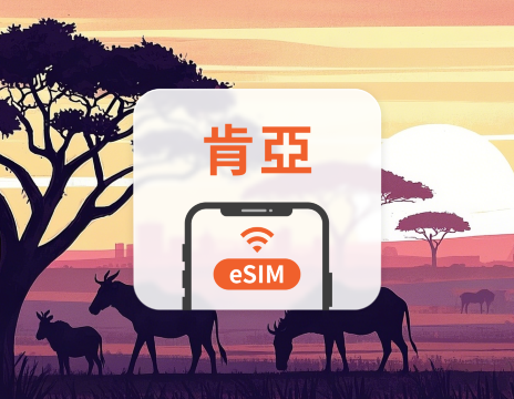 肯亞 eSIM｜ChatGPT｜1-30天｜QR Code