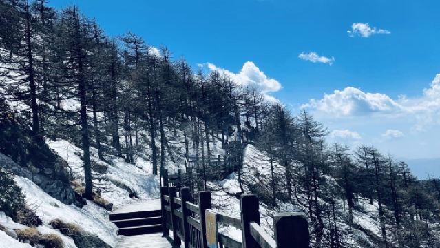 One-Day Private Chartered Tour to The Mount Taibai National Forest Park [Optional 5/7/9-Seater Vehicles]