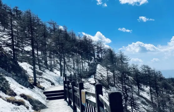 太白山國家森林公園一日包車遊【可選5座7座9座車】
