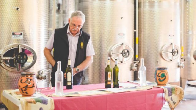 Sydney Hunter Valley Wine Tour in Australia [Three Wineries/Lunch + Cheese Included/Round-Trip from City]