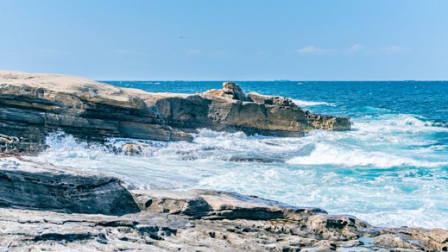 Эксклюзивный тур по Сирахаме + опыт поездки на поезде с кошачьим начальником станции в Вакаяме + однодневный тур в Senjojiki