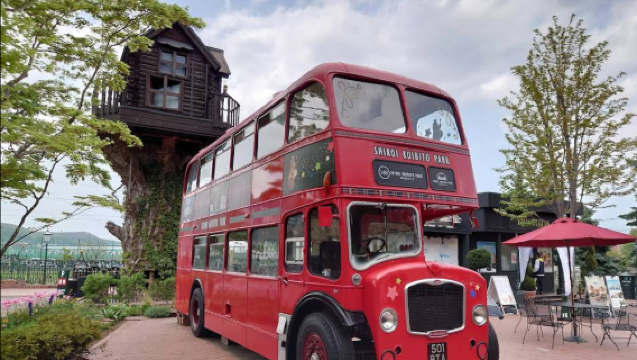 日本北海道精選札幌電視塔-美唄-白色戀人可訂全境包車