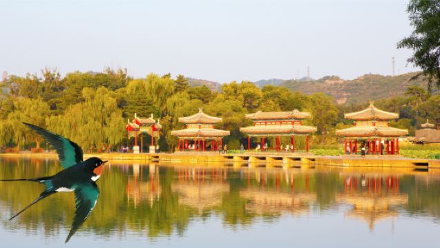 私家團導遊講解 1單1導（參觀約3-4小時）