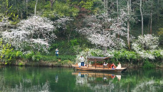 West Lake Rowing Boat/Hand-Rowed Boat Charter (Turtle Pond Route) + Private Tour Guide Service + Half-Day Tea Tasting