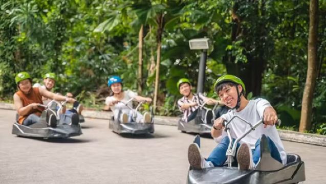 Singapore private charter 1-day tour: Zoo ~ Eco garden ~ Harry Potter ~ Skyline luge | Family-friendly tour