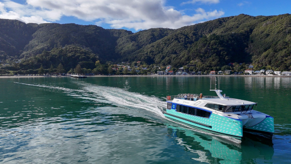 Tur kapal pesiar selama 90 menit dengan pemandu audio di Pelabuhan Wellington dengan Kapal Ika Rere