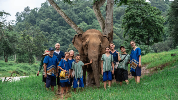 Chiang Mai Rumah Baru Gajah New Elephant Home + Air Terjun Sticky