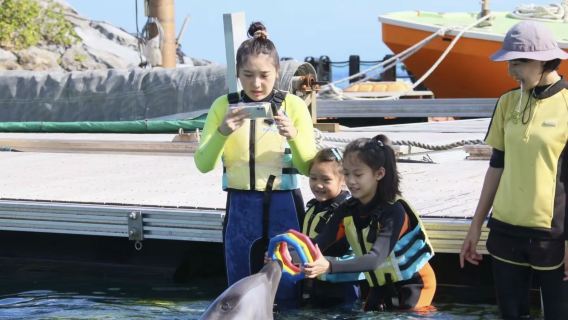 Delfinschwimmen in Tsukumi, Ōita, Japan | familienfreundliches Spiel + Erinnerungs-T-Shirt inklusive + Tierpfleger-Erlebnis
