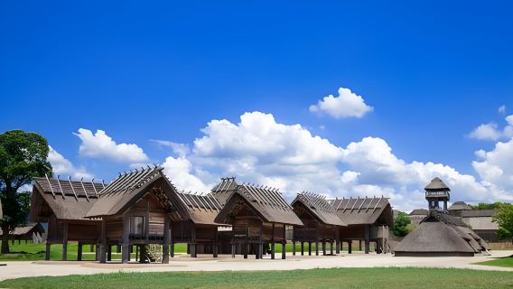 日本福岡中文精品定制包車一日遊丨佐賀+熊本城多地起止