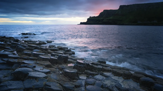 Jalan Raksasa - Jambatan Gantung Carrick - Pagar Pokok Gelap - Istana Dunluce dengan pemandu pelancong berbahasa Cina [tiket tidak termasuk]