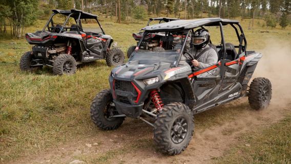 Deadwood: Roughlock Falls Canyon UTV Adventure