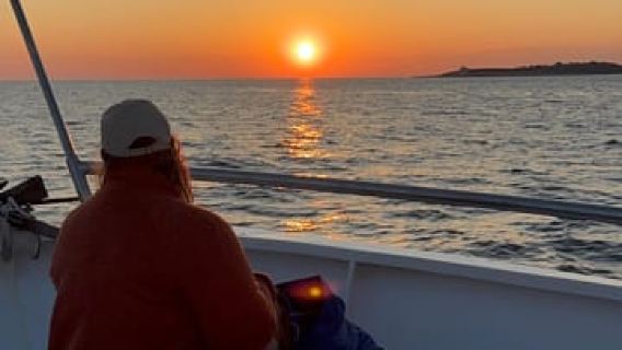 Pula: Brijuni Sunset Dolphin Watching with Drinks & Dinner