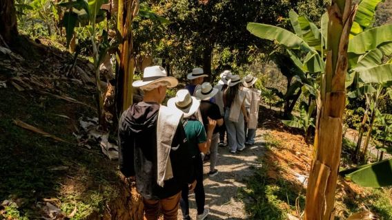 Tour de café y sabores de Antioquia (Experiencia en una granja real)