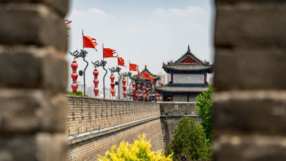 Tour privato giornaliero a Xi'an: Giro in bicicletta sulle mura della città, Museo dei guerrieri e dei cavalli di terracotta di Qin e laboratorio di ceramica