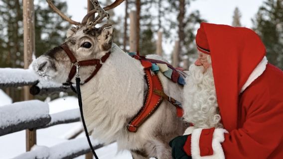 Finland Rovaniemi - Kampung Santa Claus - Cahaya Kutub - Sewaan Peribadi Bahasa Cina - Lawatan Bebas