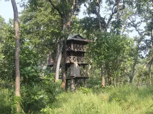 Jungle Towernight Stay In Chitwan National Park ,nepal-2 Nights 3 Days Package
