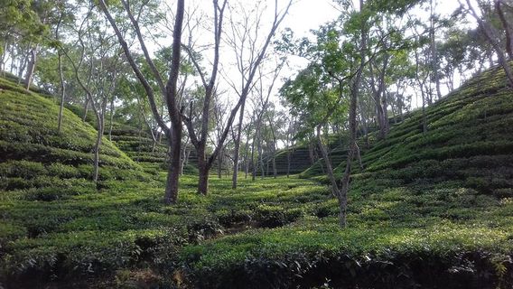 DhakaTours