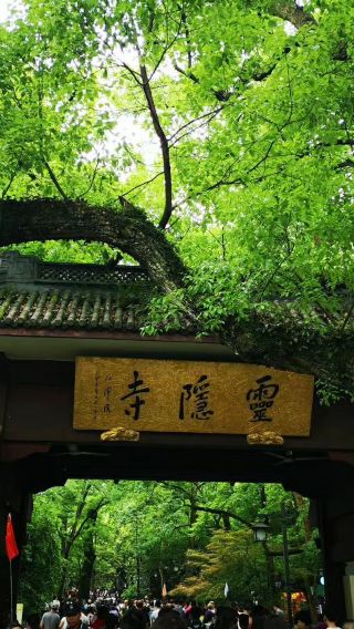 항저우 프라이빗 가이드 1일 투어 서호 링인쓰(영은사) 룽징 차밭 뇌봉탑 청하방 거리(칭허팡제)