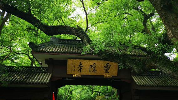 Shanghai Day Tour: West Lake Boat Ride, Lingyin Temple, Leifeng Pagoda