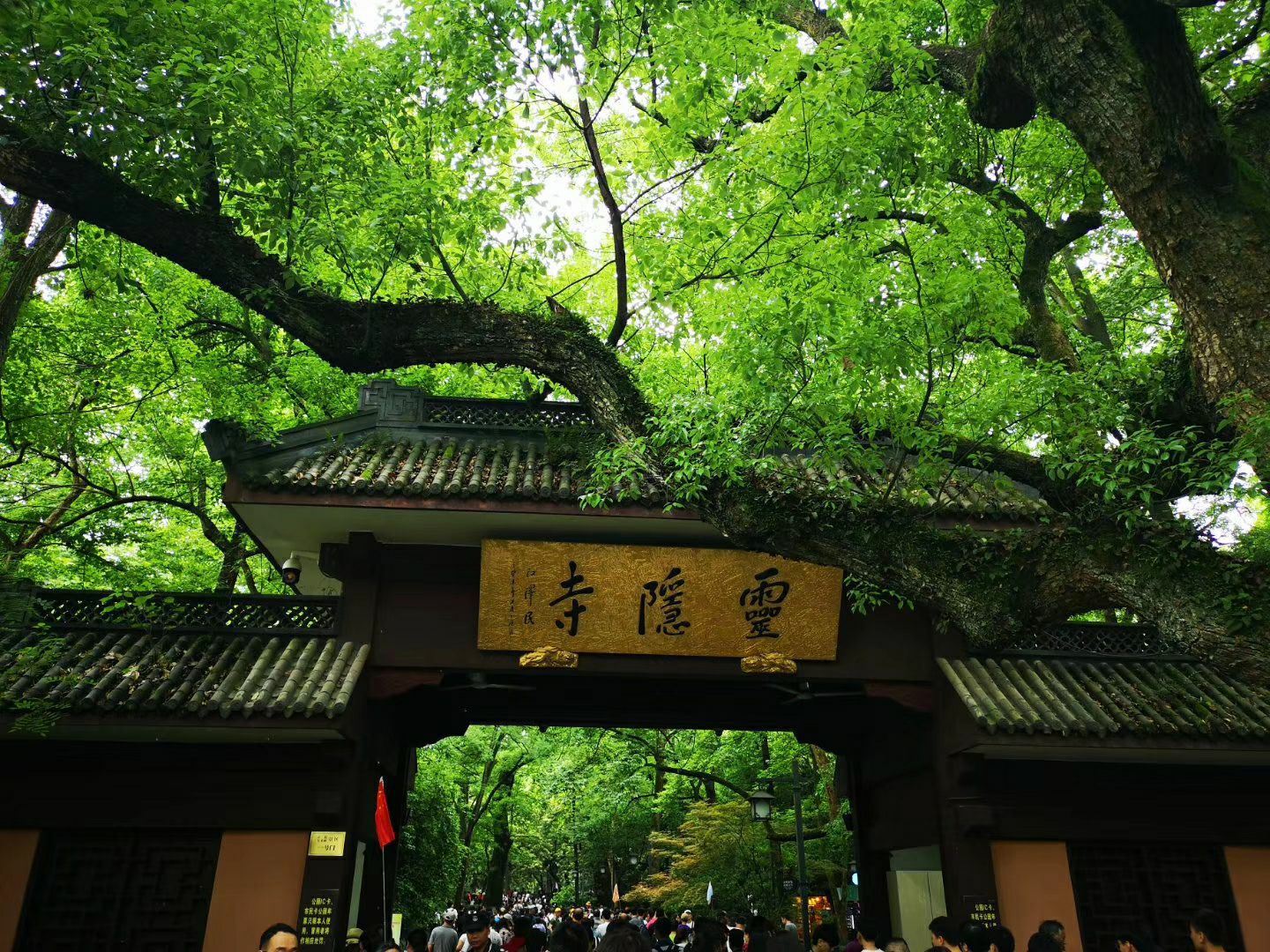 Tour Giornaliero di Shanghai: Gita in Barca sul Lago Ovest, Tempio di Lingyin, Pagoda Leifeng