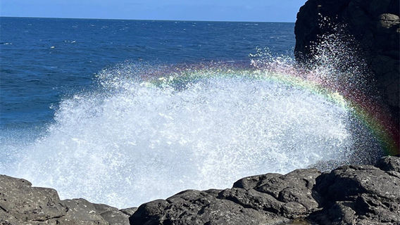 MauritiusTours