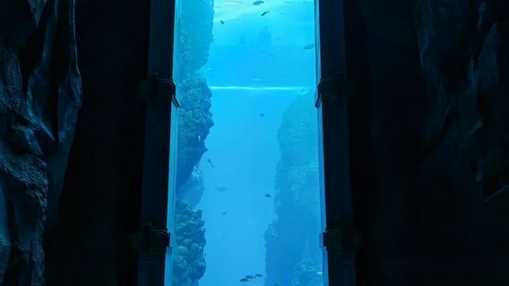 阿布達比日遊