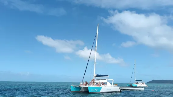 Dolphin Bay one-day tour by Catamaran [Dolphin Watching/Snorkeling + Crystal Rock + Moon Island]