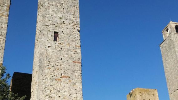 San Gimignano: Vineyard Guided Tour + Wine Tasting + Lunch