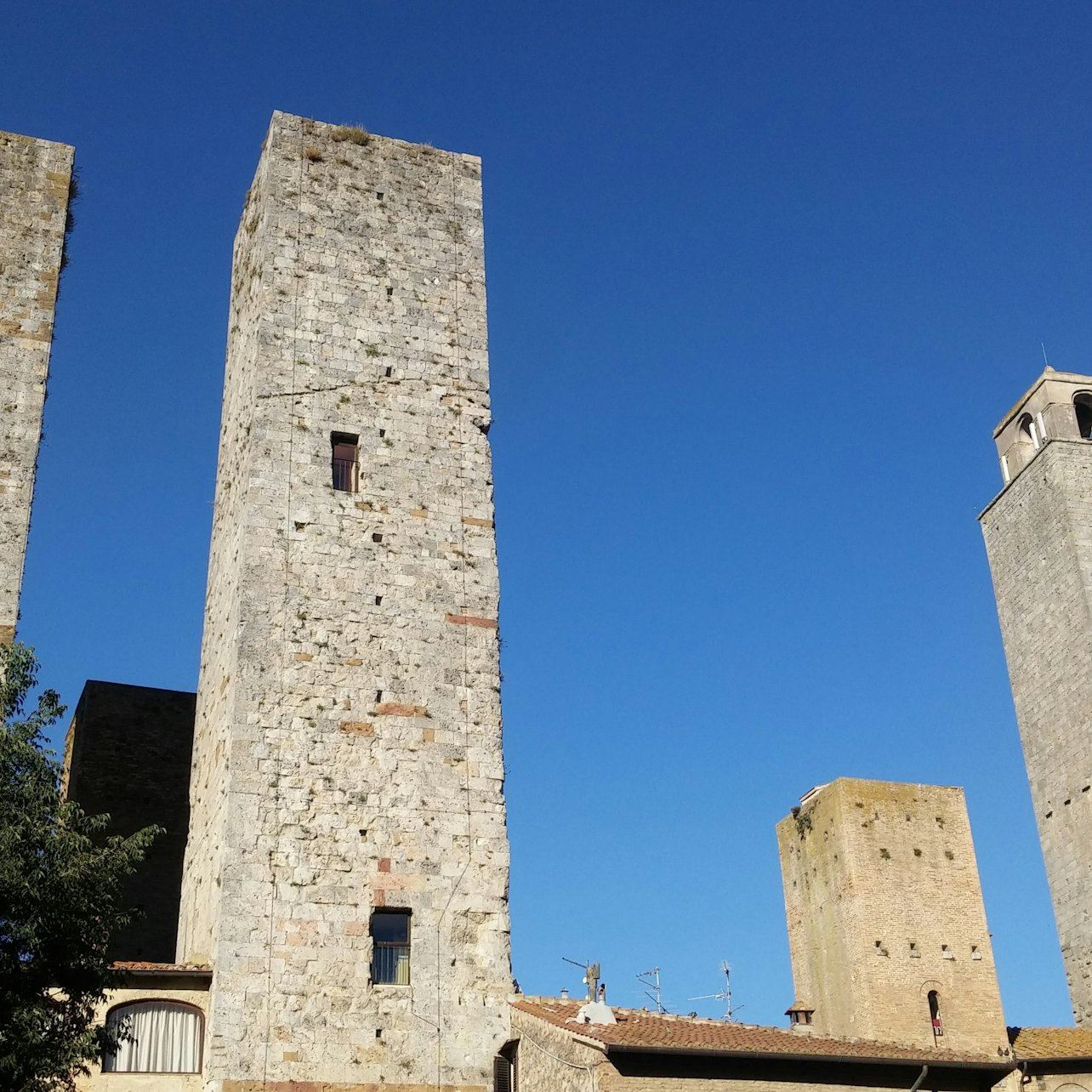 San Gimignano: Vineyard Guided Tour + Wine Tasting + Lunch