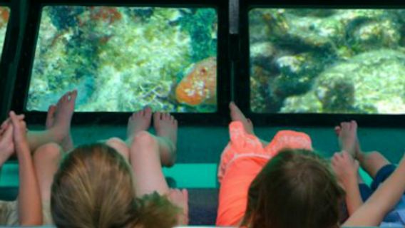 Barca con fondo di vetro Key West