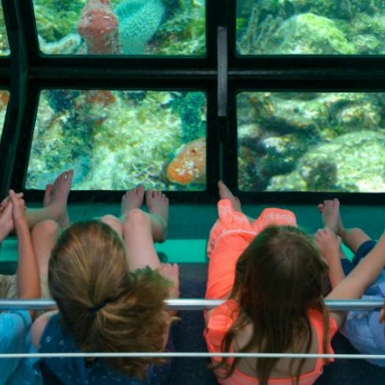 Glass Bottom Boat Key West