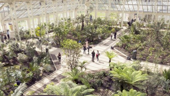 Londen: Begeleide wandeltocht door Westminster + toegang tot Kew Gardens