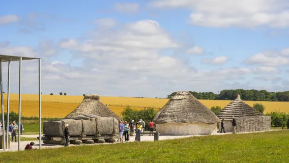 1-day tour to Stonehenge + The Roman Baths in Bath, UK | optional English/Chinese/German/French/Spanish guide