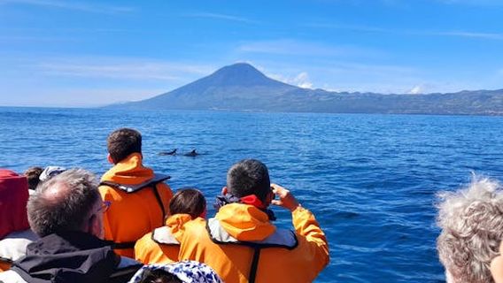 Pico Island