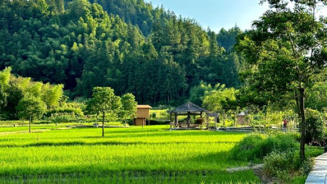 ทัวร์วันเดียว/ทัวร์หลายวัน สถานที่ท่องเที่ยว ซาน + หงชุน + ทะเลไผ่มู่เคิง + ซีตี้ พร้อมบริการเช่า รถสำหรับทัวร์ส่วนตัว ภาษาจีนและอังกฤษ