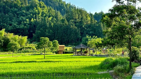 HuangshanTours
