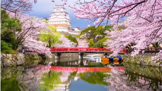 大阪日遊