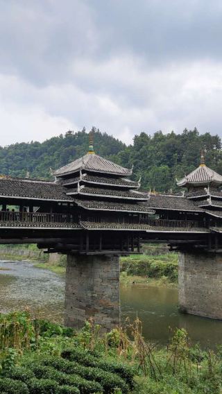 Guilin: 1-day private tour to Longji rice terraces and Sanjiang Chengyang Dong village