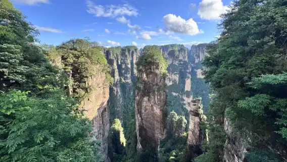 2 天私人包團:阿凡達山、玻璃橋、天門山及 VIP 百龍電梯
