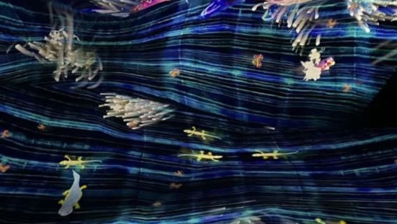 澳門teamlab超自然空間（專車接送，自由選擇時間）