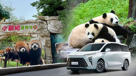 DujiangyanTours