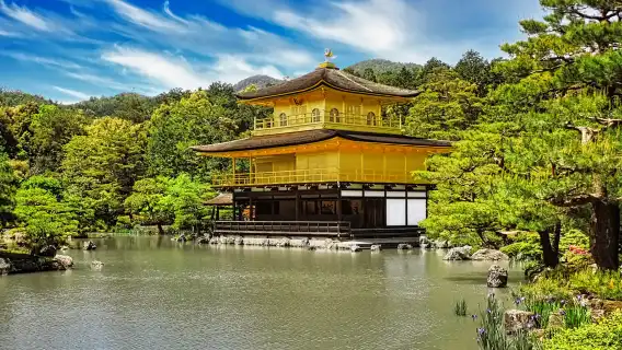 ทัวร์วันเดียว/ทัวร์หลายวัน|วัดคินคะคุจิ + วัดคิโยมิสึ + วัดเบียวโดอิน + ศาลเจ้าลิง + นินเนนซากะ