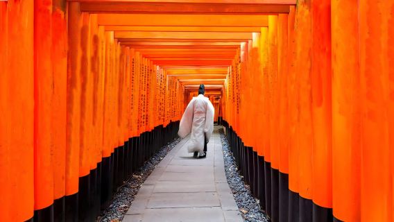 Kyoto & Nara & Uji World Heritage Day Tour: Nara Park & Fushimi Inari & Byodoin & Matcha Street