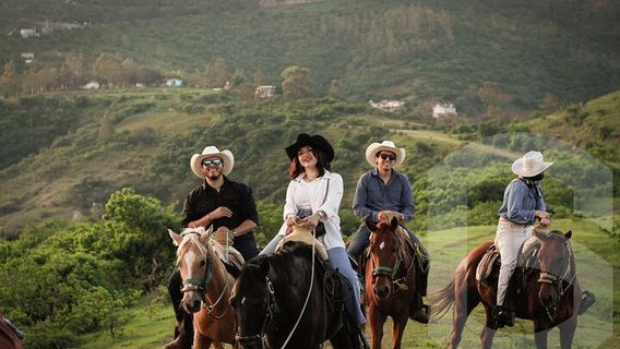 GuanajuatoTours