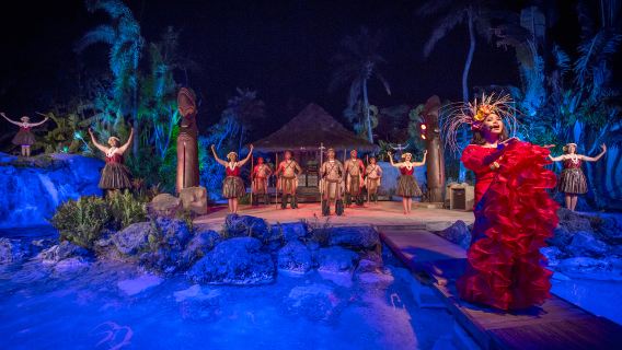 Fish Eye  Island Cultural Dinner Show