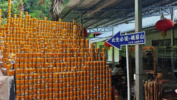 Excursión de un día a Emeishan [entrada + guía profesional + paquete de regalo para senderismo + espectáculo de artes marciales]