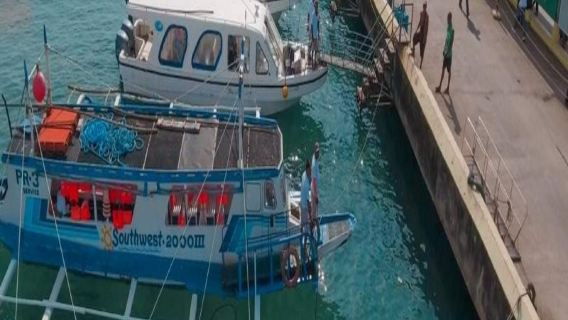 フィリピン【空港送迎】ボラカイ島空港(MPH)からボラカイ島交通プライベート20025