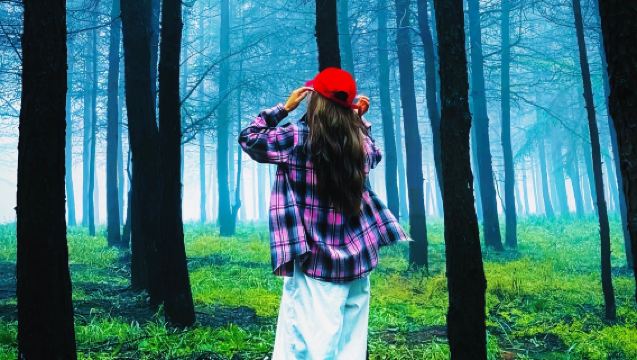 Taman Negara Hada Men + Taman Ekologi Negara Batu Merah Lawatan Sehari