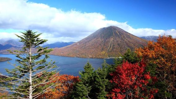 Nikko: Private Walking Tour with Local Guide