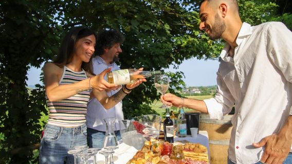 Lazise: visita all'azienda agricola biodinamica e degustazione di vini naturali